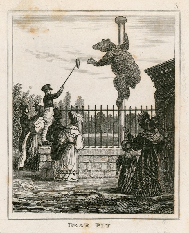 Bear Pit, London Zoological Gardens, Regents Park alkotó: English School