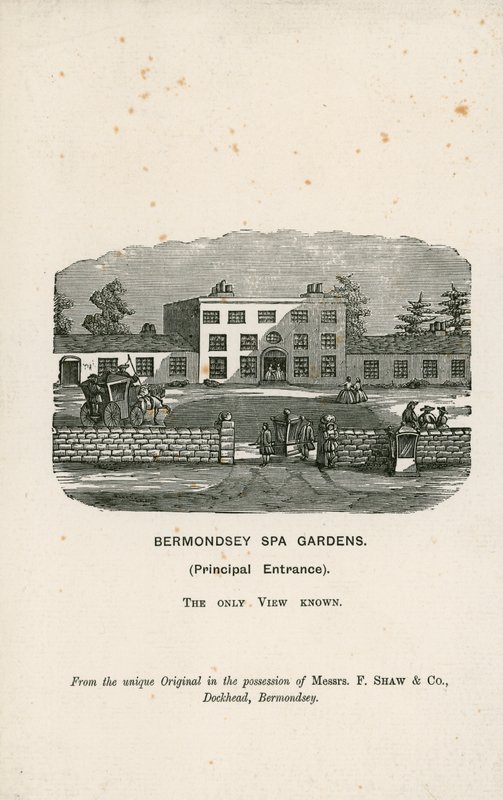 Bermondsey Spa Gardens alkotó: English School
