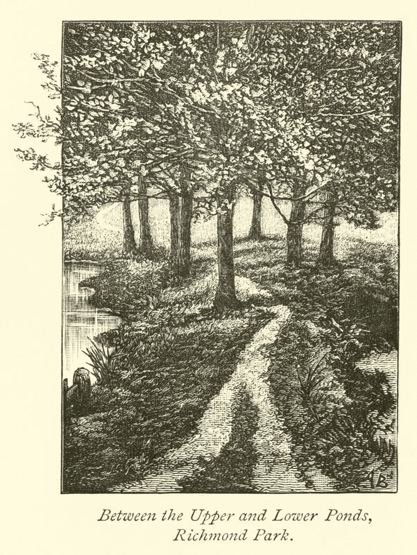 A felső és alsó tavak között, Richmond Park alkotó: English School