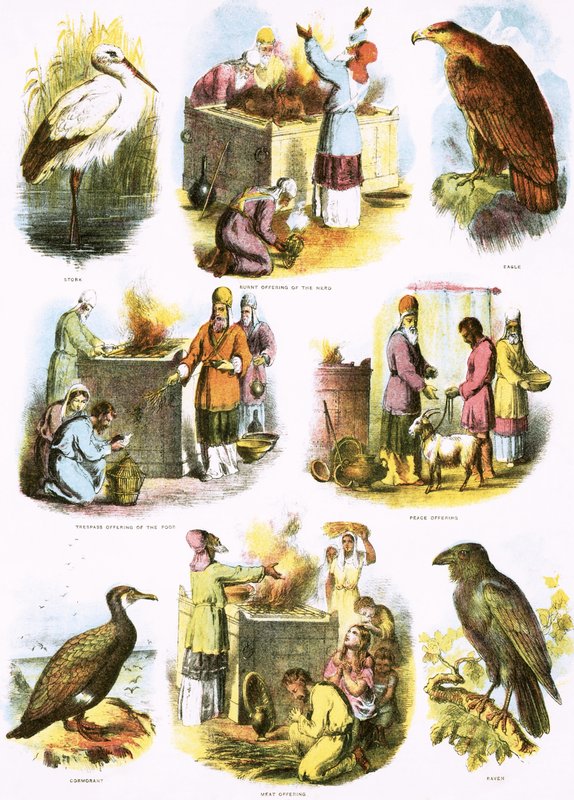 Bibliai illusztrációk alkotó: English School