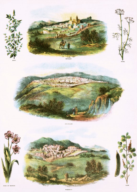 Bibliai illusztrációk alkotó: English School