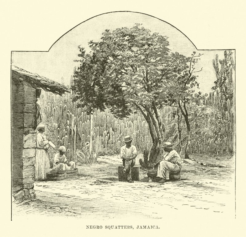 Black Squatters, Jamaica alkotó: English School
