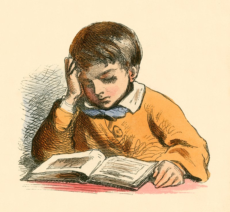 Olvasó fiú alkotó: English School