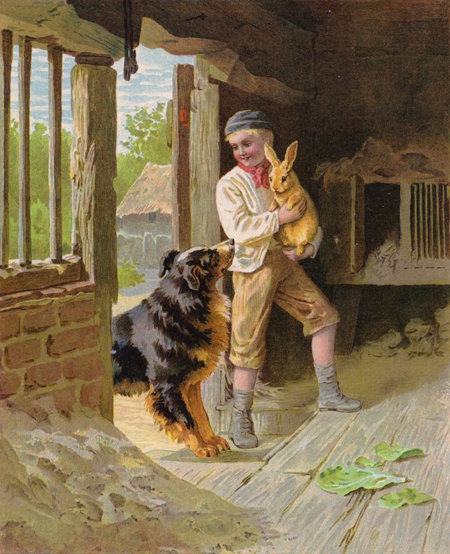 Fiú kutyával és nyúllal a farmon (chromolitho) alkotó: English School
