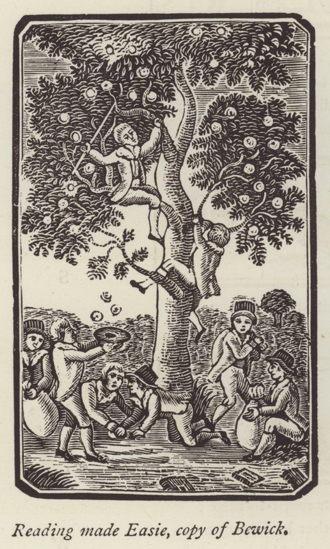 Almát szedő fiúk (metszet) alkotó: English School