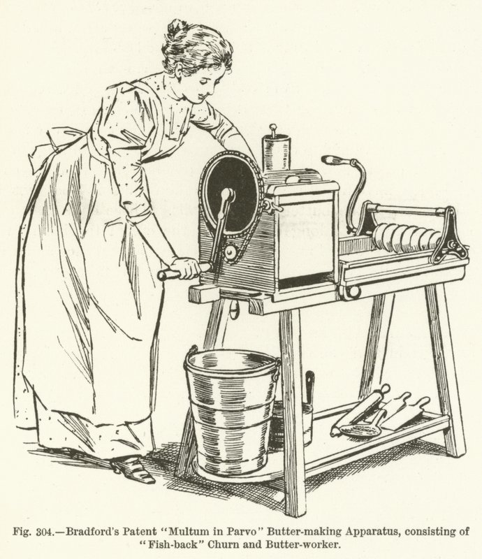 Bradfords Patent Multum a Parvo vajkészítő berendezésben, amely Fish-back Churnből és Butter-workerből áll alkotó: English School