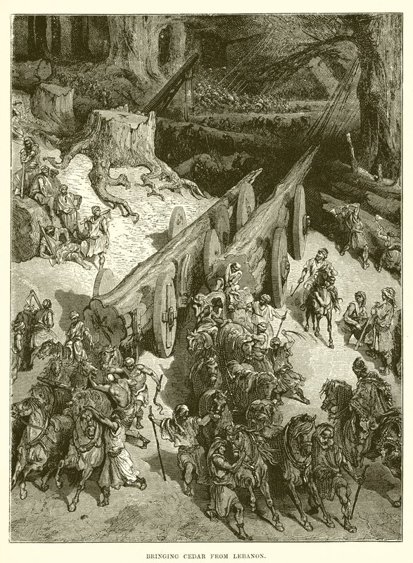 Cédrust hoznak Libanonból alkotó: English School