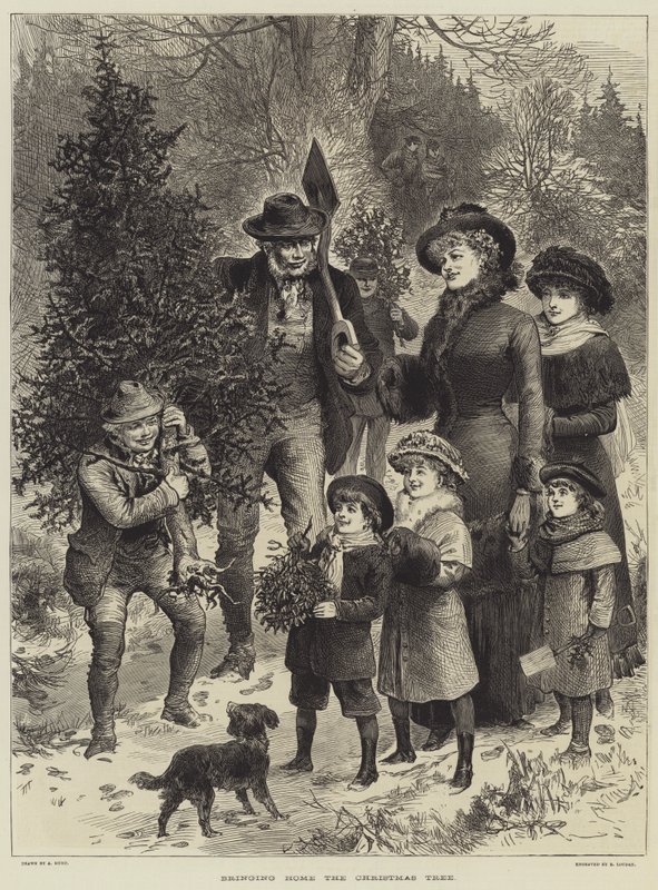 A karácsonyfa hazahozása (metszet) alkotó: English School