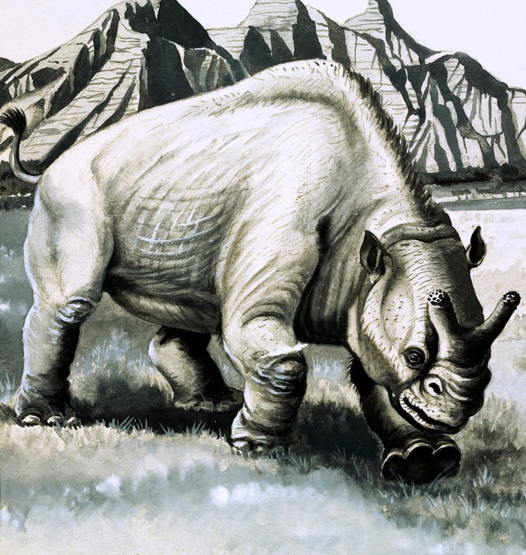 Brontotherium az oligocén korból alkotó: English School