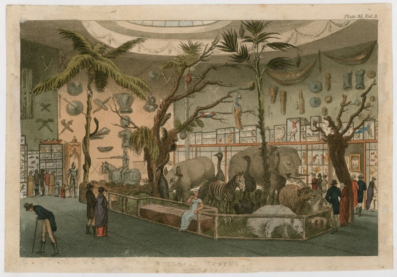 Bullocks Múzeum alkotó: English School