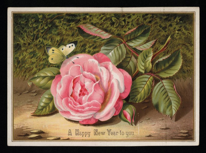 Pillangó rózsaszín rózsával, újévi üdvözlőlap (chromolitho) alkotó: English School