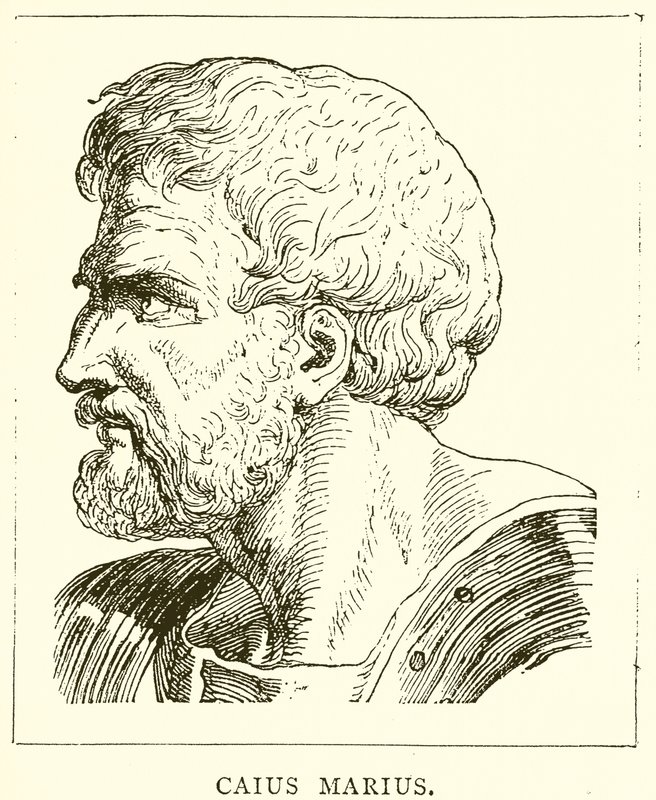 Caius Marius alkotó: English School
