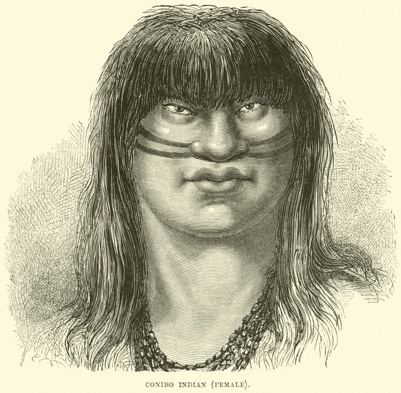Canibo indián, nő alkotó: English School