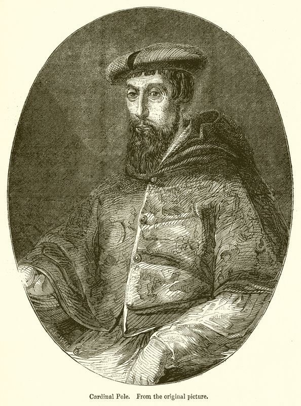 Pólus bíboros alkotó: English School
