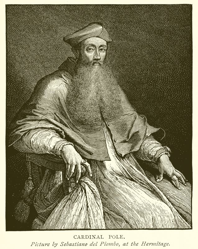 Pólus bíboros alkotó: English School