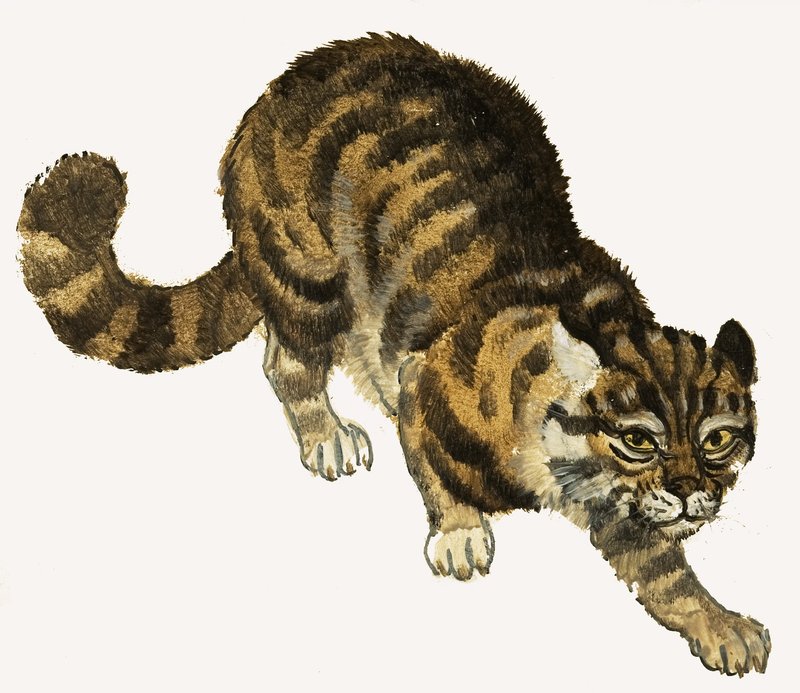 Cat alkotó: English School