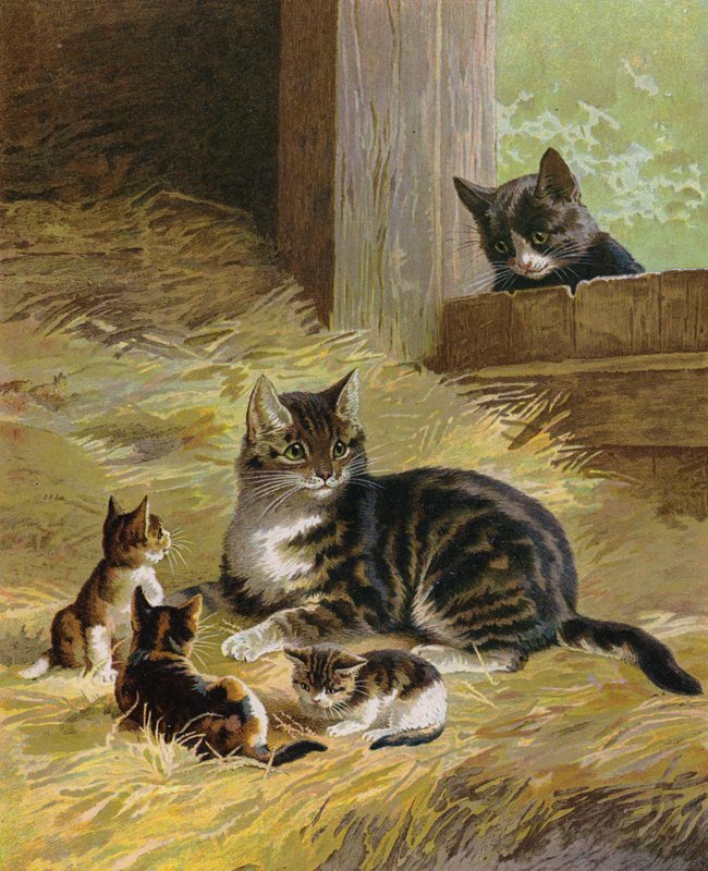 Macska a cicákkal egy istállóban (chromolitho) alkotó: English School