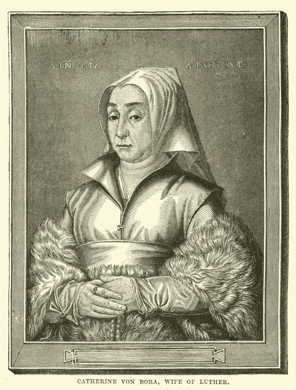 Catherine von Bora, Luther felesége (metszet) alkotó: English School