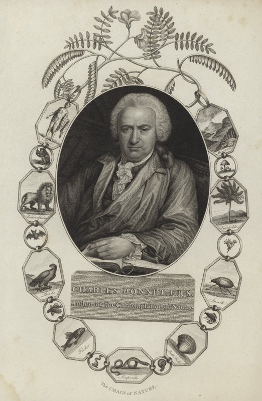 Charles Bonnet alkotó: English School
