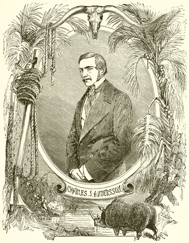 Charles J Anderson alkotó: English School