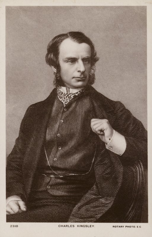 Charles Kingsley (1819-1875), angol lelkész, történész és regényíró (litho) alkotó: English School