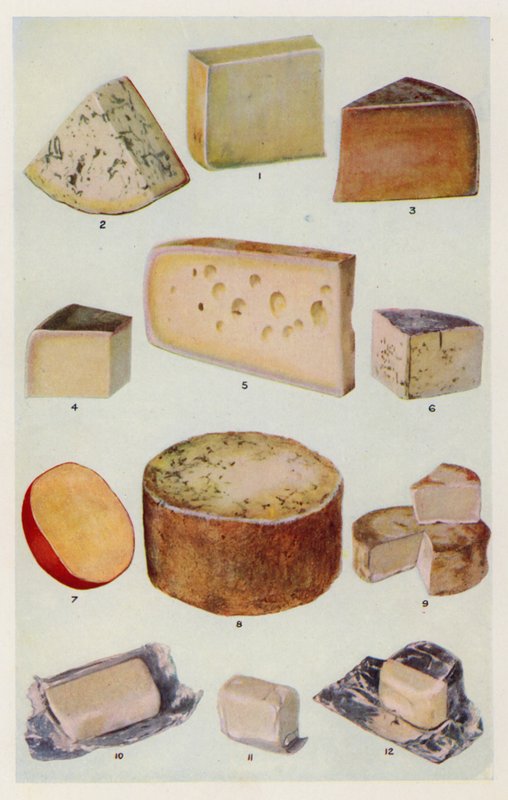 Cheddar; Gorgonzola; Double Gloster; Parmezán; Gruyere; Roquefort; Holland; Stilton; Camembert; St Ives; Krém (színes litográfia) alkotó: English School
