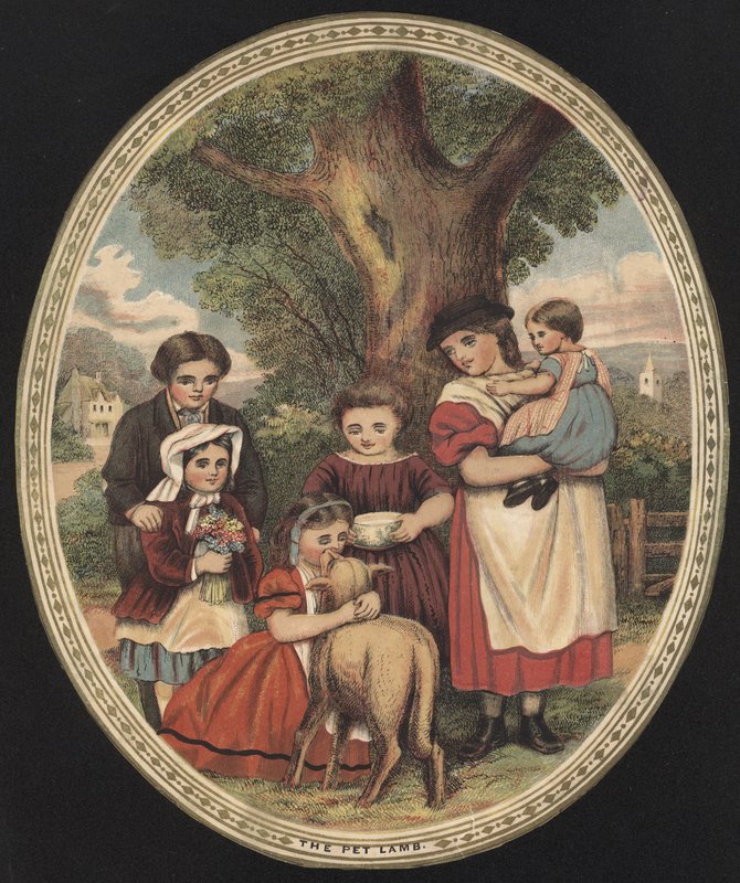 Gyermekek, akik gondozzák kedvenc bárányukat (színes gravírozás) alkotó: English School
