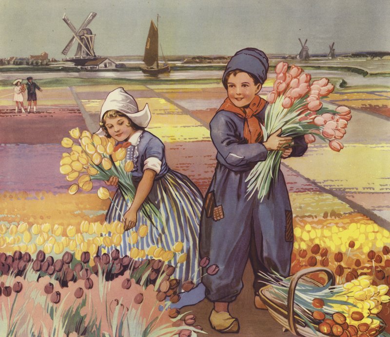 Gyerekek tulipánt szednek Hollandiában (színes litográfia) alkotó: English School