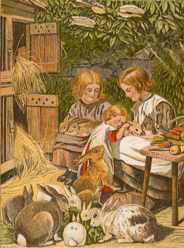Gyermekek házinyulakkal (színes litográfia) alkotó: English School