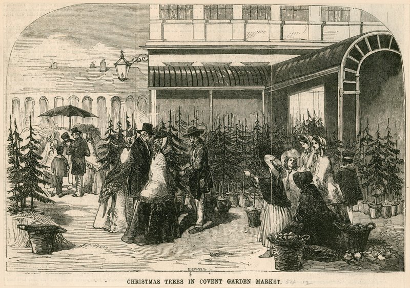 Karácsonyfák a londoni Covent Garden Marketen alkotó: English School