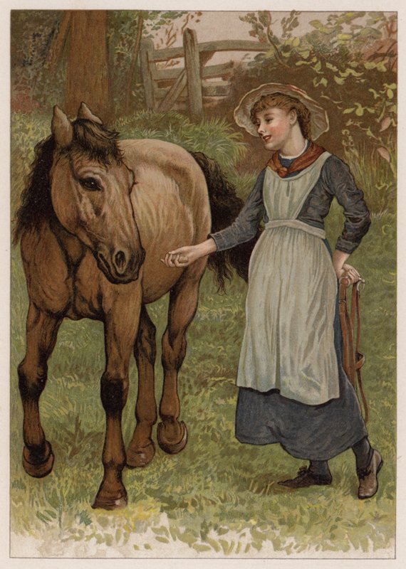 Clever Dobbin (chromolitho) alkotó: English School