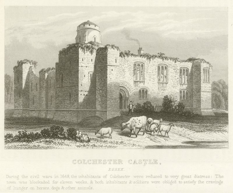 Colchester kastély, Essex (metszet) alkotó: English School