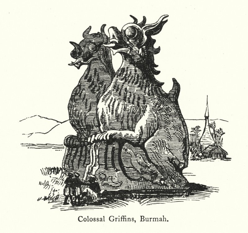 Colossal Griffins, Burmah (metszet) alkotó: English School