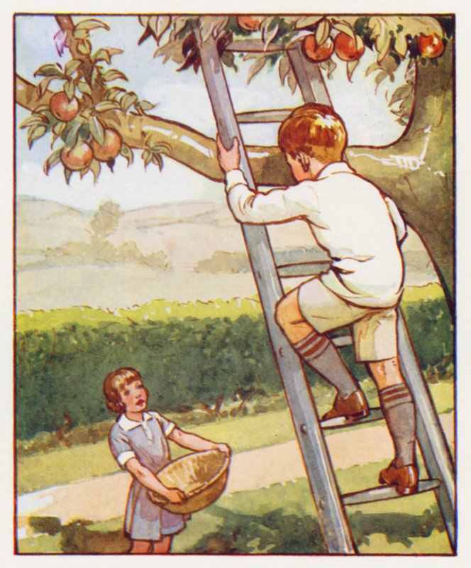 Parancsok: Óvatosan másszon fel a létrán (színes litográfia) alkotó: English School