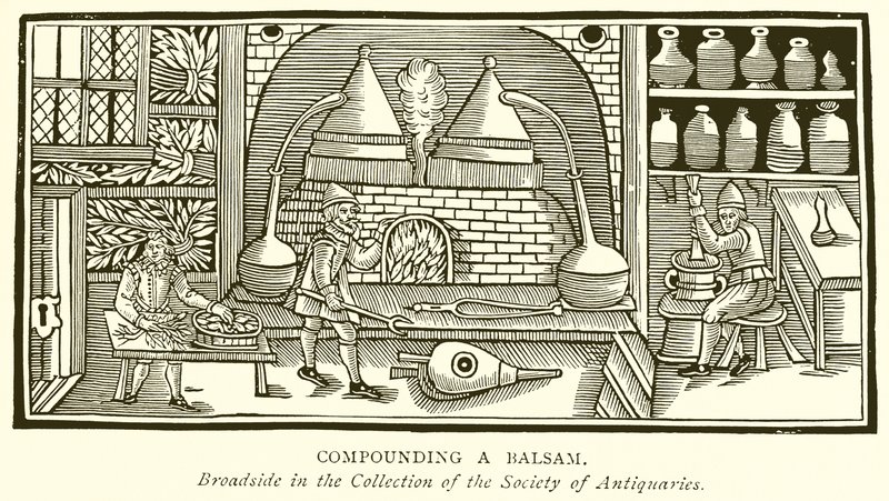 Balzsam összeállítása alkotó: English School