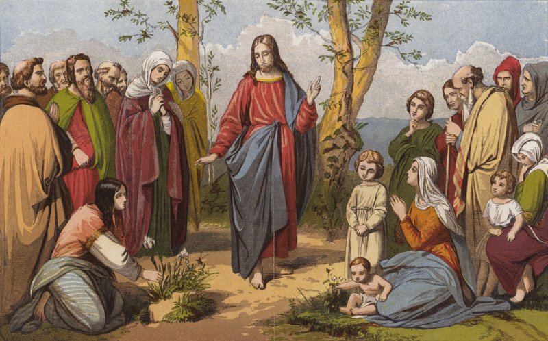 „Vegyük fontolóra a liliomokat, hogyan nőnek” (chromolitho) alkotó: English School