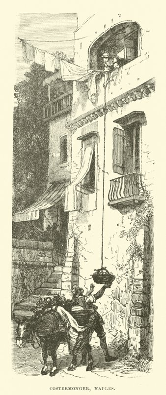 Costermonger, Nápoly alkotó: English School