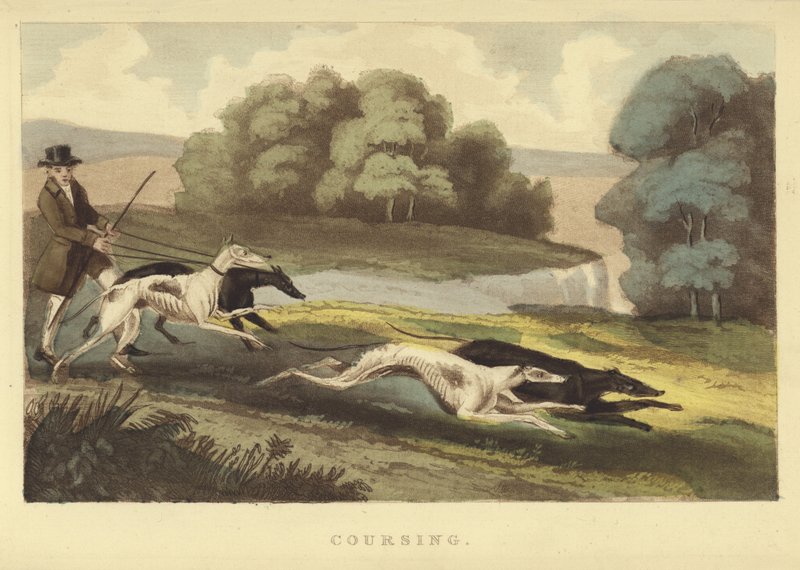 Coursing (színes gravírozás) alkotó: English School
