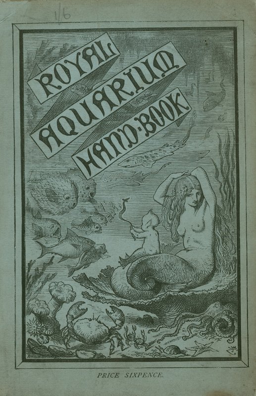 A Royal Aquarium kézikönyvének borítója alkotó: English School