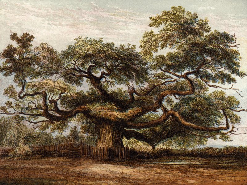 Crouch Oak, Addlestone alkotó: English School