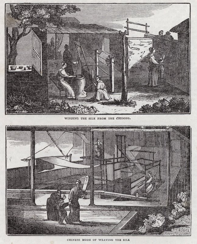 Selyem termesztése (metszet) alkotó: English School