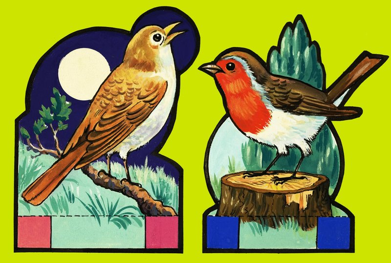 Vágja ki a Nightingale és a Robin képeit alkotó: English School