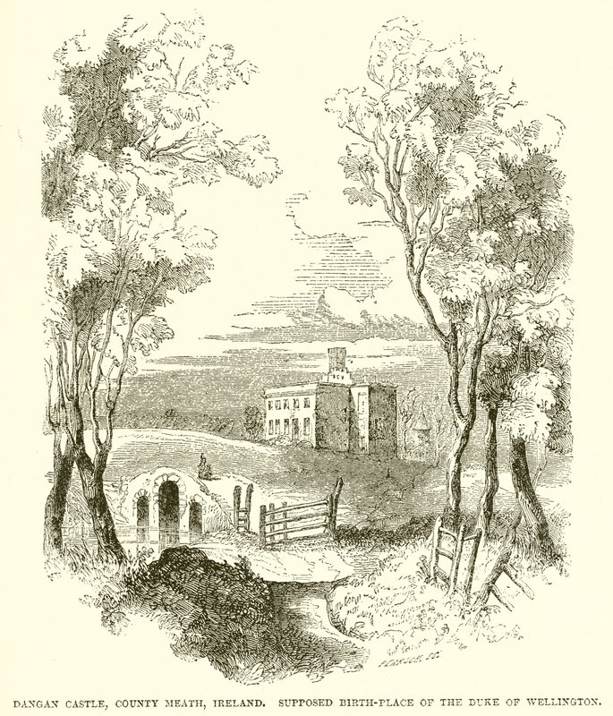 Dangan kastély, Meath megye, Írország. Wellington hercegének feltételezett születési helye alkotó: English School