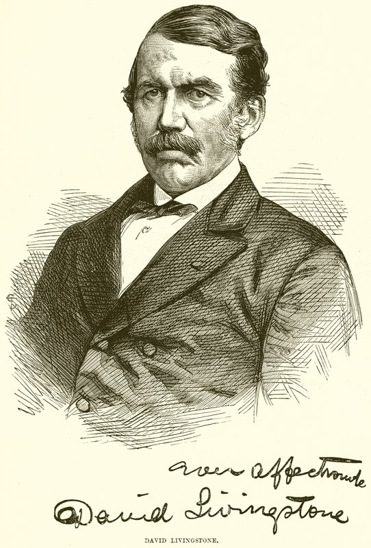 David Livingstone alkotó: English School