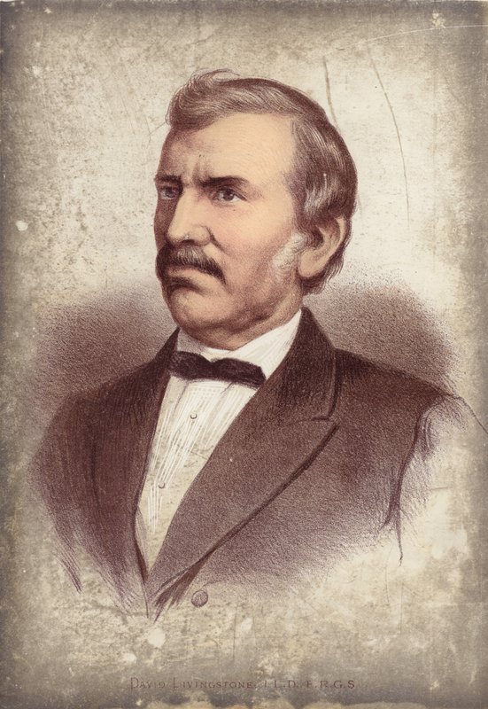 David Livingstone, felfedező alkotó: English School