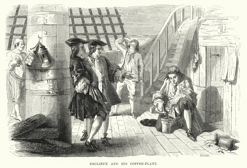 Declieux és kávéüzeme (metszet) alkotó: English School