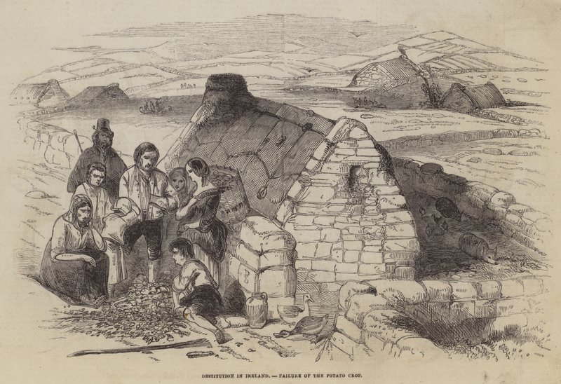 Nyomorság Írországban, a burgonyatermés kudarca alkotó: English School