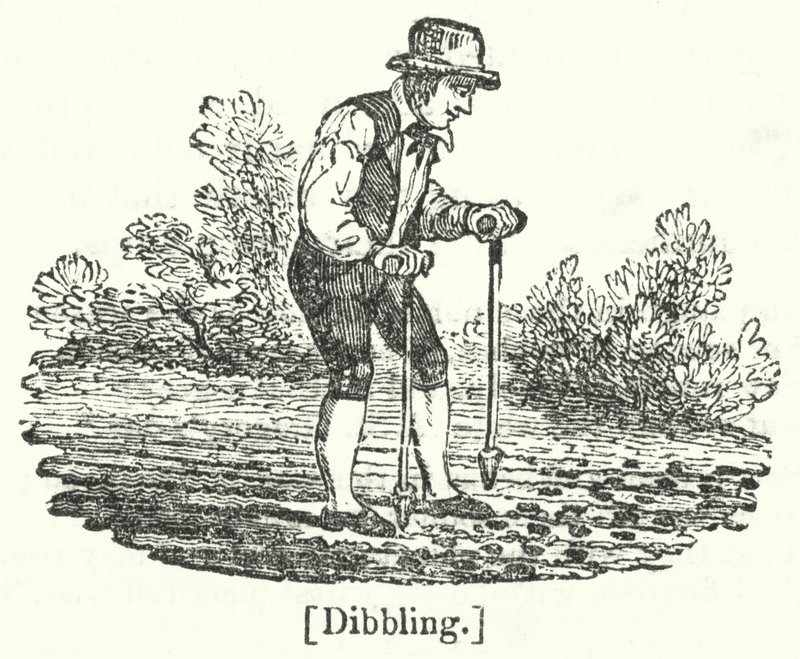 Dibling alkotó: English School