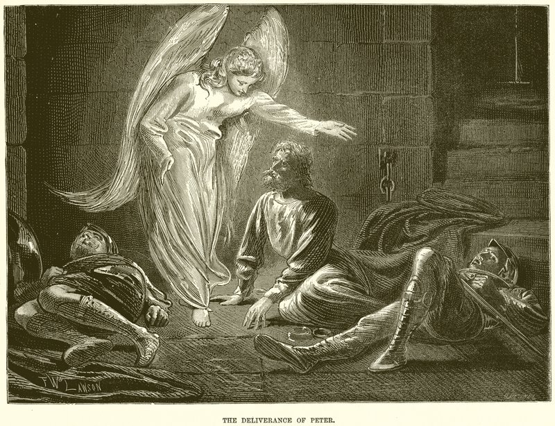 Die Befreiung des Apostels Petrus durch einen Engel des Herrn, aus dem Gefängnis des Königs Herodes ﻿ alkotó: English School