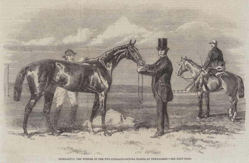 Diophantus, a Newmarket kétezer-guineai tétjének nyertese (metszet) alkotó: English School
